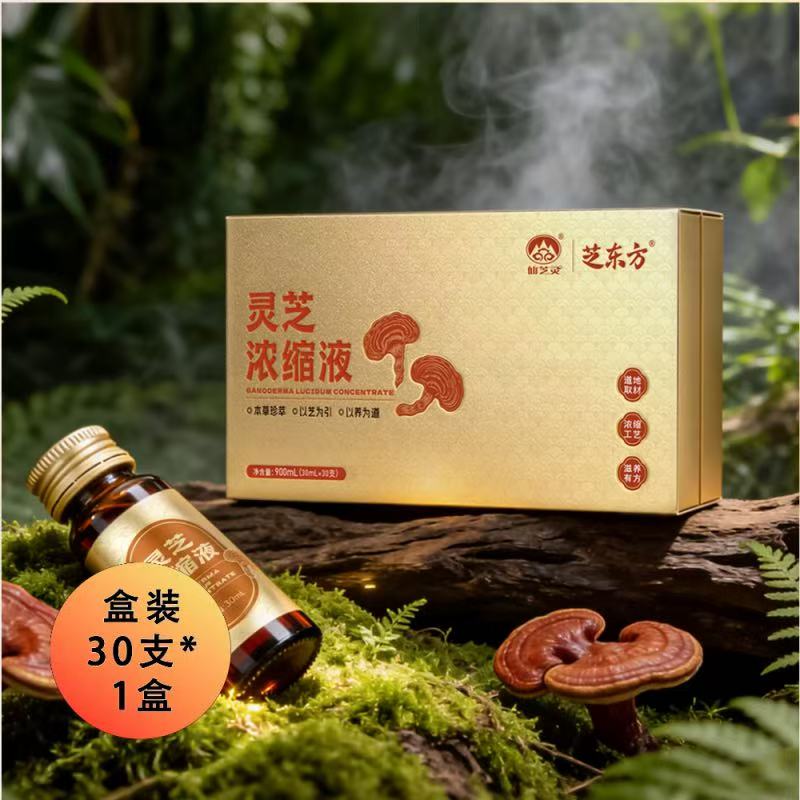 灵芝浓缩液